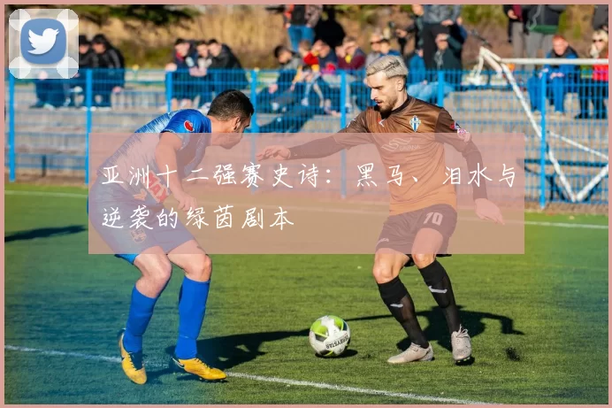 亚洲十二强赛史诗：黑马、泪水与逆袭的绿茵剧本