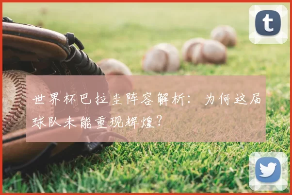 世界杯巴拉圭阵容解析:为何这届球队未能重现辉煌?