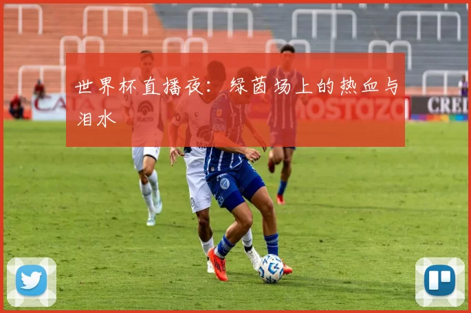 世界杯直播夜:绿茵场上的热血与泪水