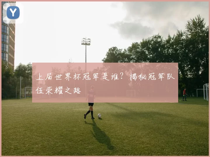 上届世界杯冠军是谁？揭秘冠军队伍荣耀之路