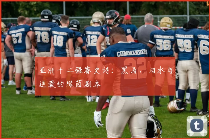 亚洲十二强赛史诗：黑马、泪水与逆袭的绿茵剧本