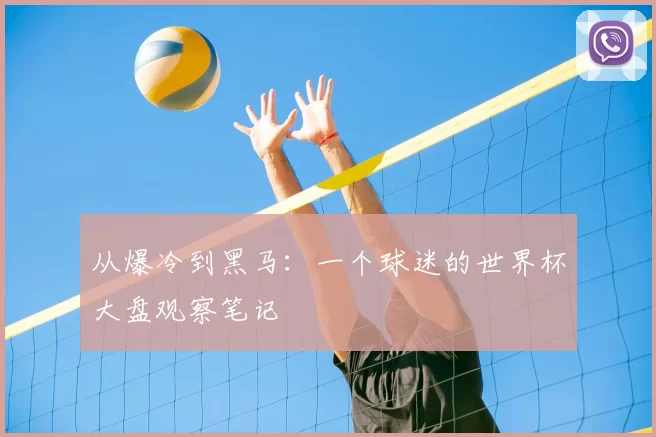 从爆冷到黑马：一个球迷的世界杯大盘观察笔记