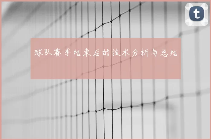 球队赛季结束后的技术分析与总结