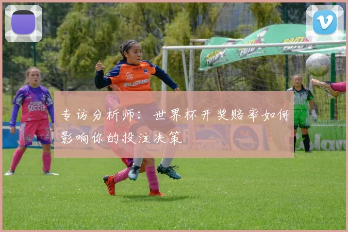 专访分析师:世界杯开奖赔率如何影响你的投注决策