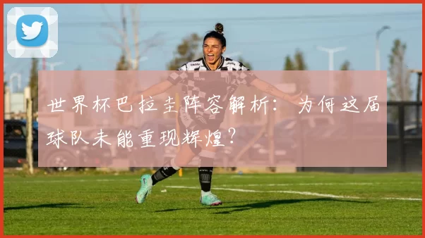 世界杯巴拉圭阵容解析:为何这届球队未能重现辉煌?