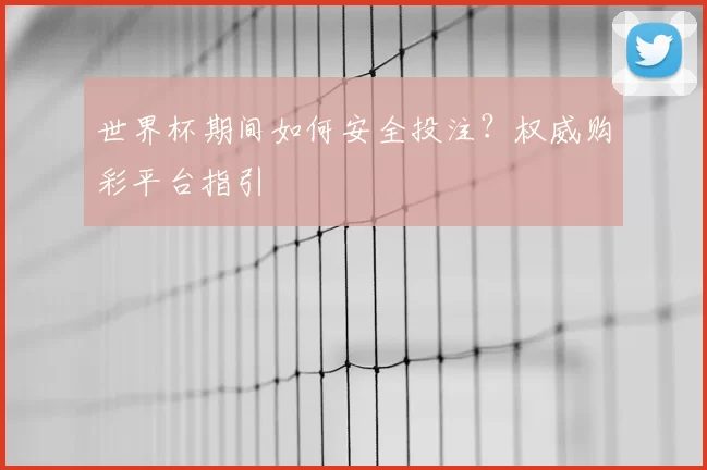 世界杯期间如何安全投注？权威购彩平台指引