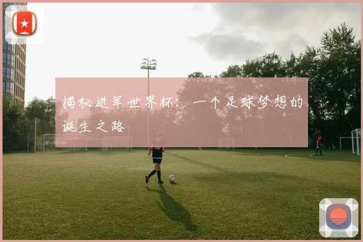 揭秘进军世界杯：一个足球梦想的诞生之路