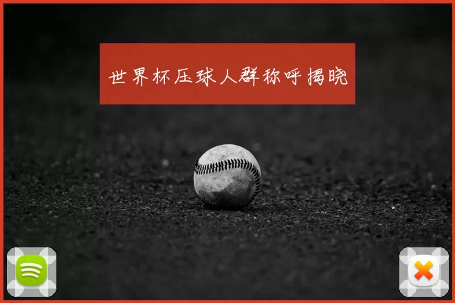 世界杯压球人群称呼揭晓