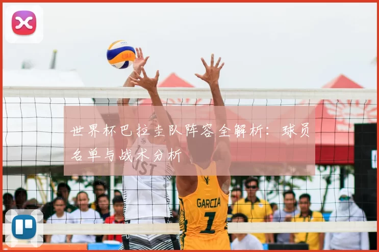 世界杯巴拉圭队阵容全解析：球员名单与战术分析