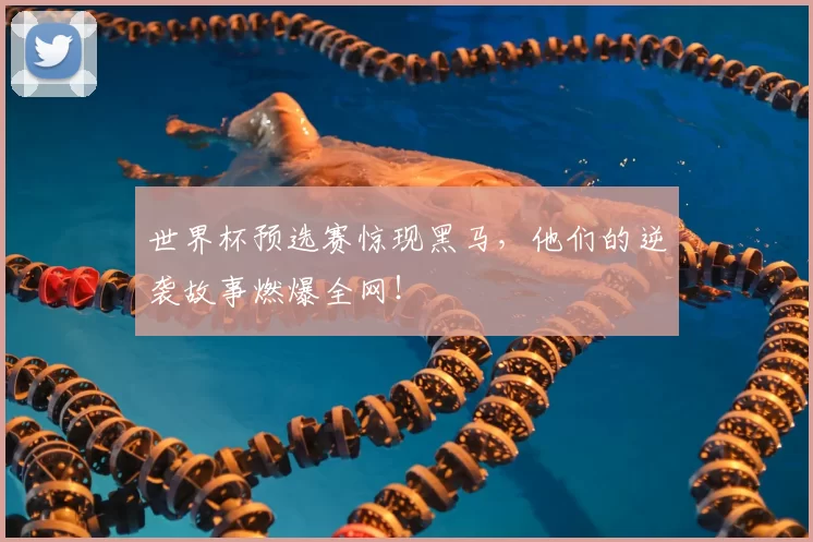 世界杯预选赛惊现黑马，他们的逆袭故事燃爆全网！