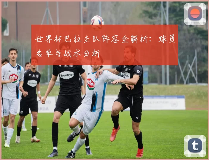 世界杯巴拉圭队阵容全解析:球员名单与战术分析