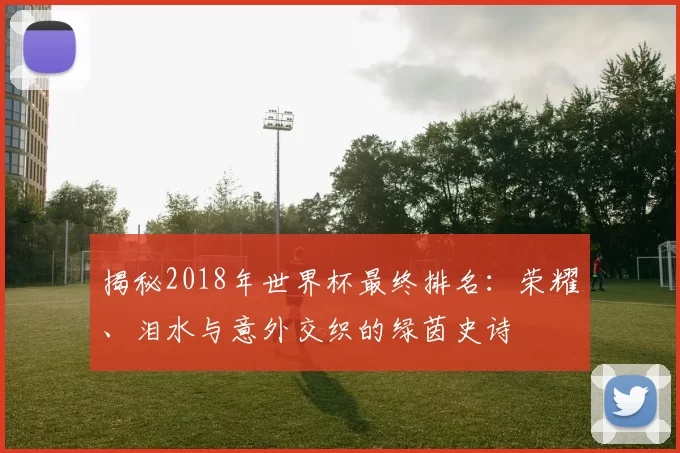 揭秘2018年世界杯最终排名：荣耀、泪水与意外交织的绿茵史诗