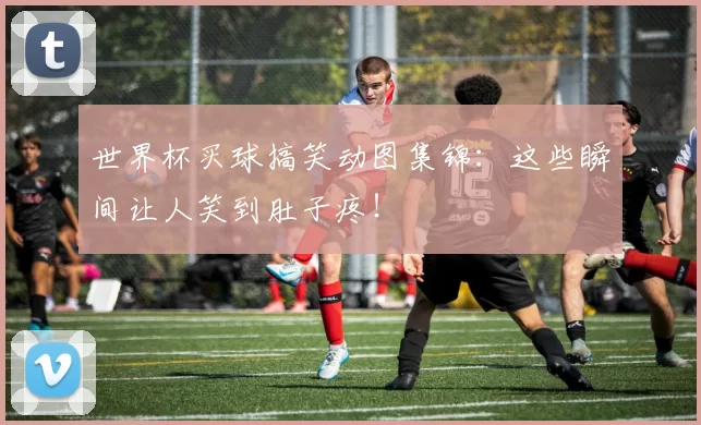 世界杯买球搞笑动图集锦:这些瞬间让人笑到肚子疼!