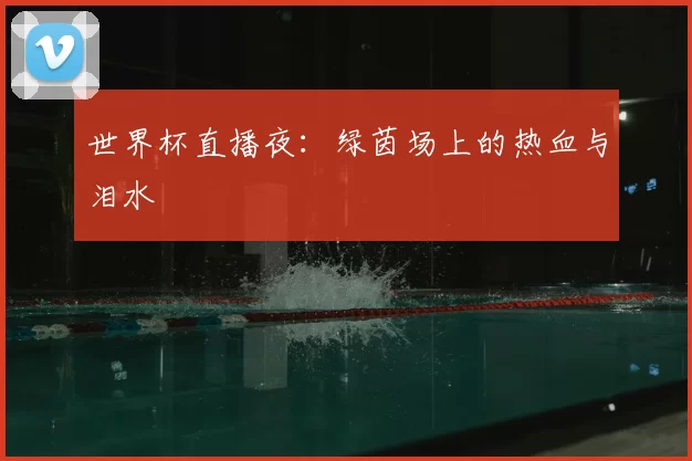 世界杯直播夜：绿茵场上的热血与泪水