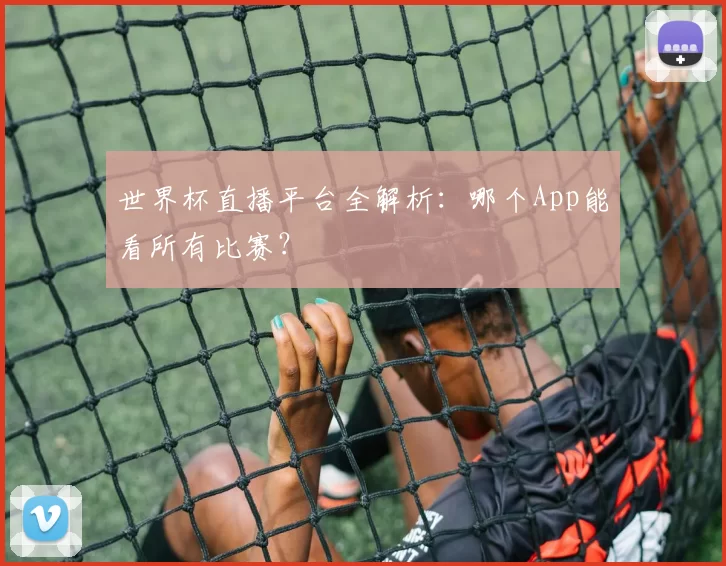 世界杯直播平台全解析:哪个App能看所有比赛?